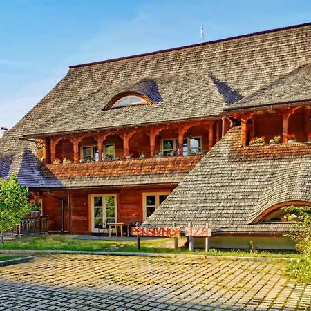 Pensiunea Iza Вишеу-де-Жос Экстерьер фото