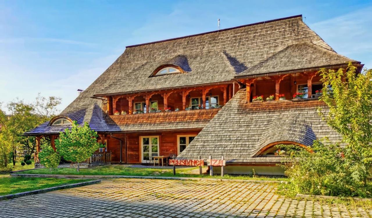 Pensiunea Iza Вишеу-де-Жос Экстерьер фото