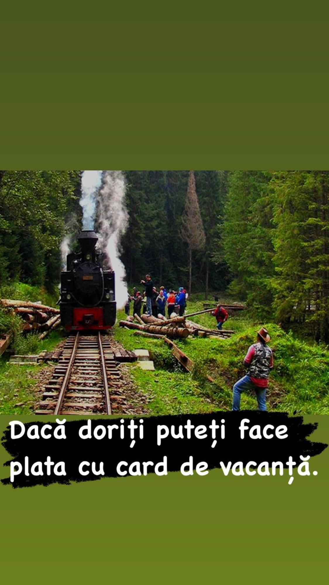 Pensiunea Iza Вишеу-де-Жос Экстерьер фото